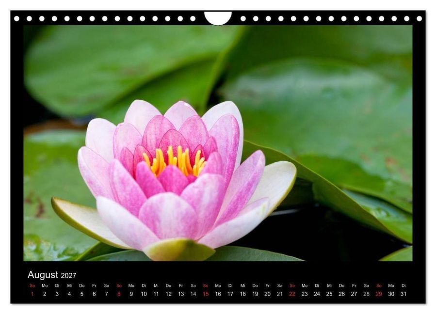 InsideView 10