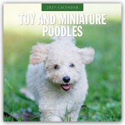 Cover-Bild zum Titel 'Toy and Miniature Poodles - Zwergpudel 2027 - 16-Monatskalender' von 'Robin Red'