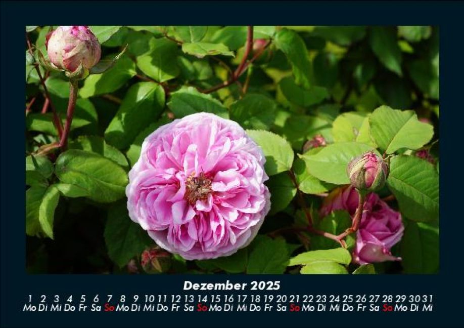 InsideView 4