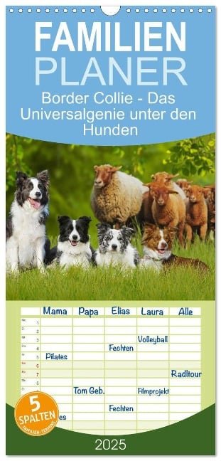 Familienplaner 2025 - Border Collie - Das Universalgenie unter den Hunden mit 5 Spalten (Wandkalender, 21 x 45 cm) CALVENDO - Sigrid Starick