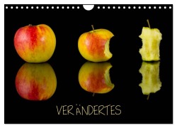 Cover-Bild zum Titel 'Verändertes (Wandkalender 2026 DIN A4 quer), CALVENDO Monatskalender' von 'Beate Goerz'
