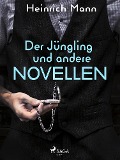 Cover-Bild zum Titel 'Der Jüngling und andere Novellen' von 'Heinrich Mann'