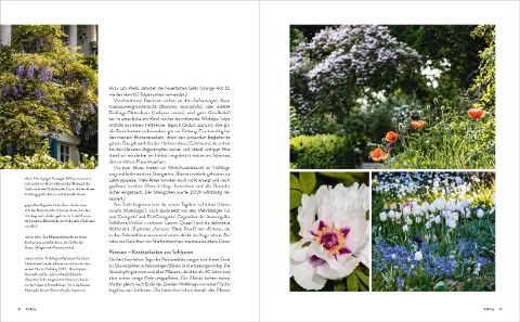 InsideView 3