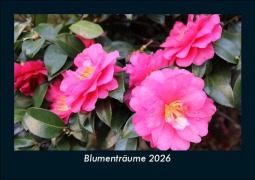 Cover-Bild zum Titel 'Blumenträume 2026 Fotokalender DIN A5' von 'Tobias Becker'