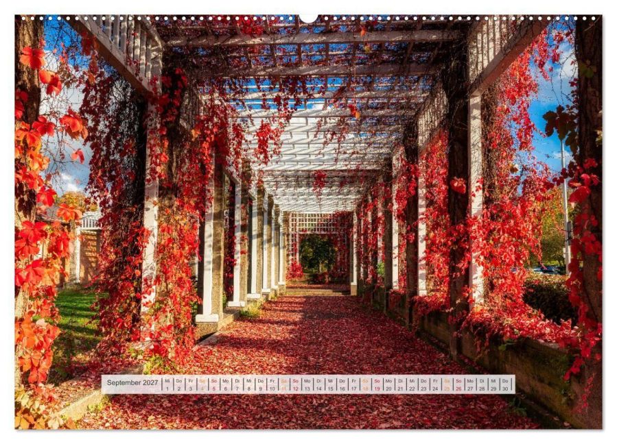 InsideView 14
