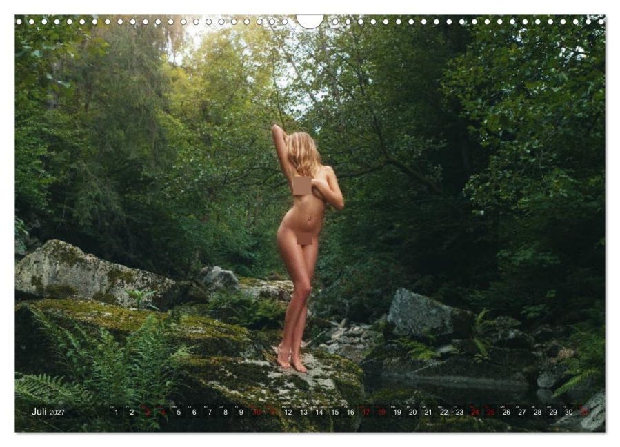 InsideView 12