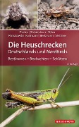 Die Heuschrecken Deutschlands und Nordtirols - Jürgen Fischer, Daniela Steinlechner, Andreas Zehm, Dominik Poniatowski, Thomas Fartmann