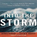 Into the Storm: Lessons in Teamwork from the Treacherous Sydney to Hobart Ocean Race - Dennis N. T. Perkins, Jillian B. Murphy