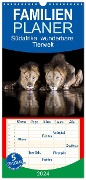Familienplaner 2024 - Südafrika wunderbare Tierwelt mit 5 Spalten (Wandkalender, 21 x 45 cm) CALVENDO - Michèle Junio