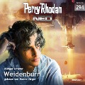 Cover-Bild zum Titel 'Perry Rhodan Neo 294: Weidenburn' von 'Rüdiger Schäfer'