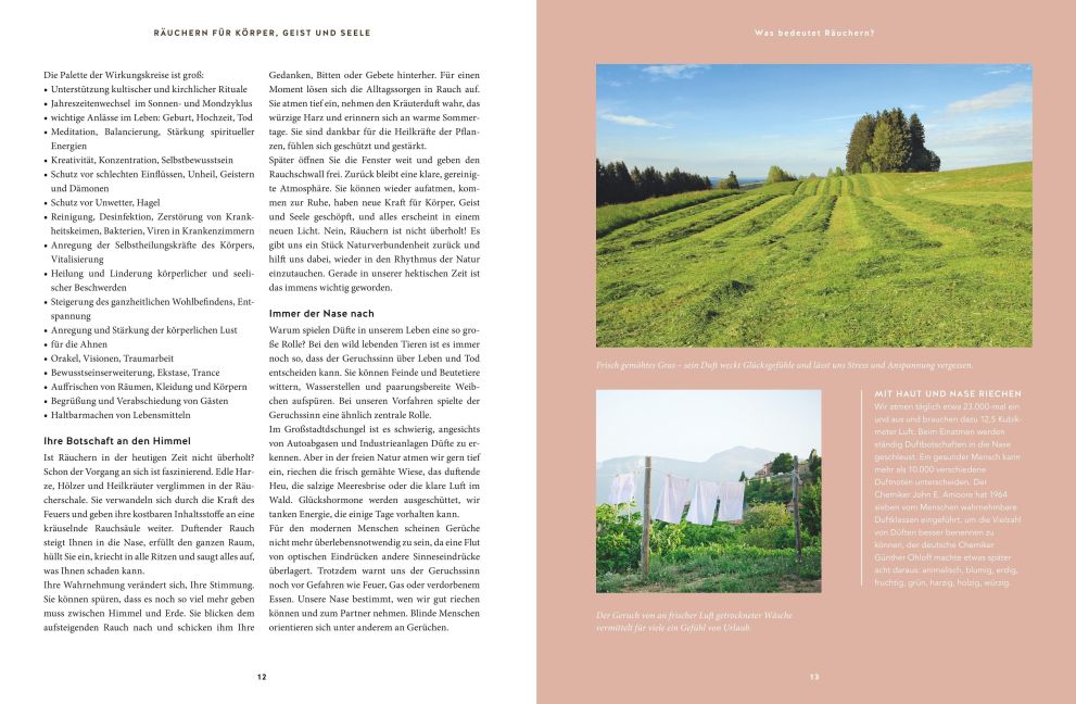 InsideView 3
