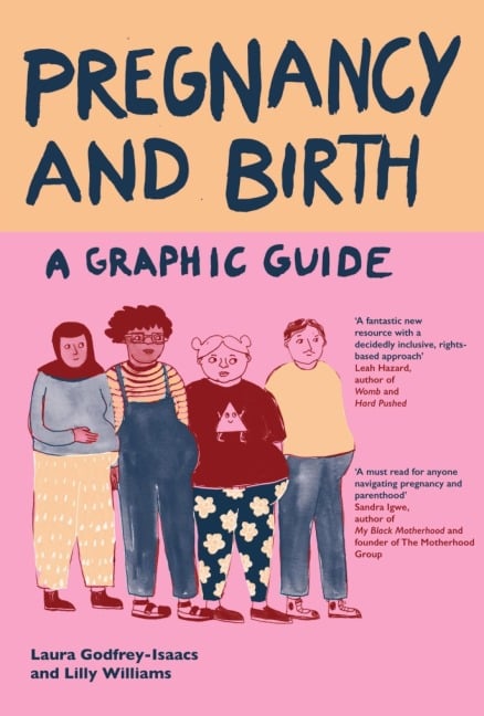 Pregnancy and Birth: A Graphic Guide - Laura Godfrey-Isaacs