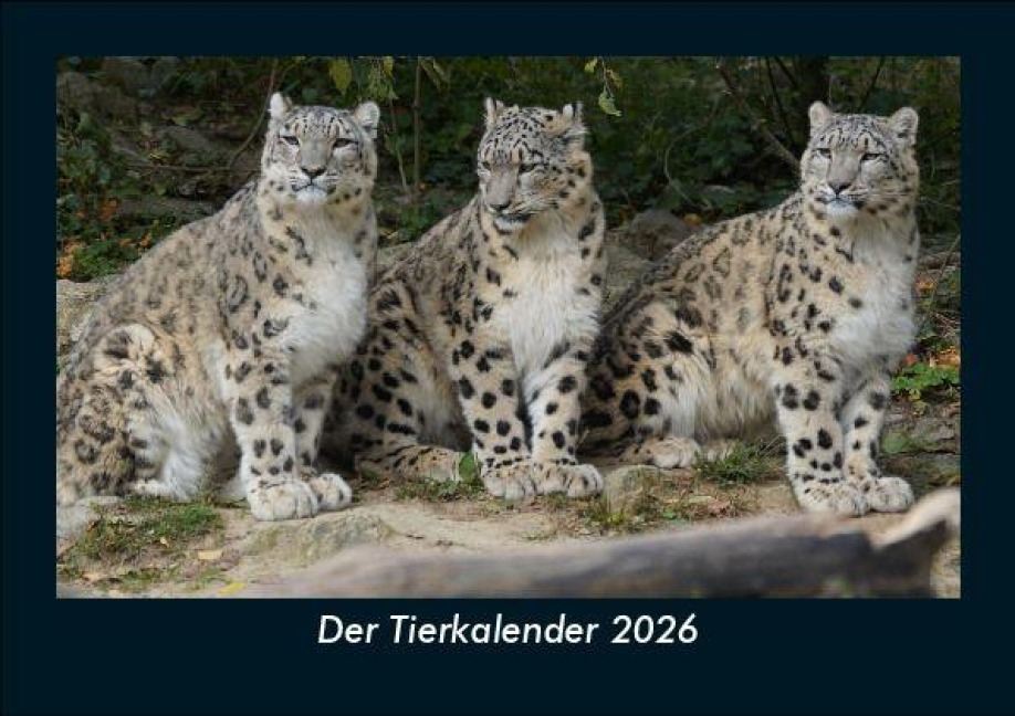 Der Tierkalender 2026 Fotokalender DIN A5 - Tobias Becker