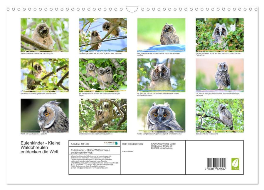 InsideView 5