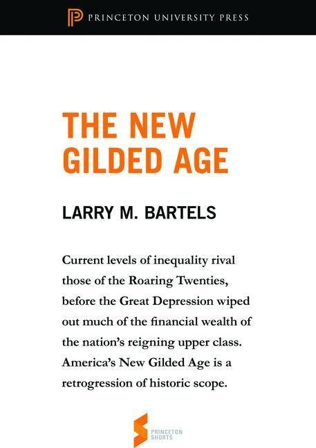 New Gilded Age - Larry M. Bartels