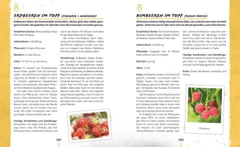 InsideView 8