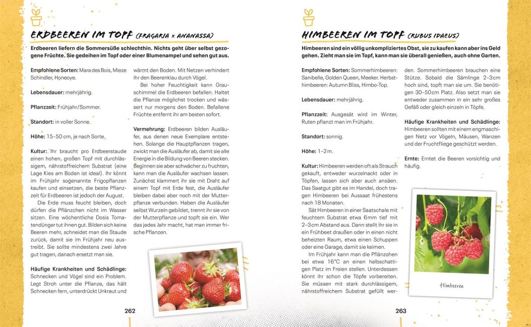 InsideView 8