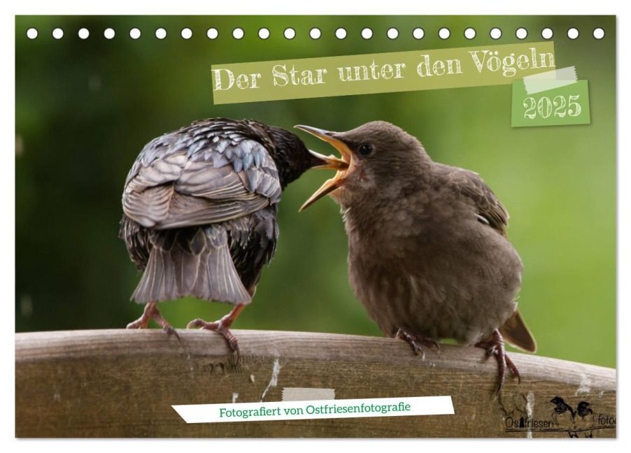 Der Star unter den Vögeln - Fotografiert von Ostfriesenfotografie (Tischkalender 2025 DIN A5 quer), CALVENDO Monatskalender - Christina Worch - Ostfriesenfotografie