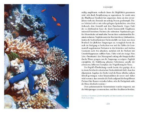 InsideView 11