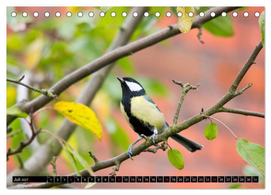 InsideView 12