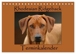 Cover-Bild zum Titel 'Rhodesian Ridgeback Terminkalender (Tischkalender 2026 DIN A5 quer), CALVENDO Monatskalender' von 'Anke van Wyk - www. germanpix. net'