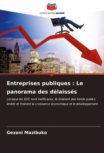 Entreprises publiques : Le panorama des délaissés - Gezani Mazibuko
