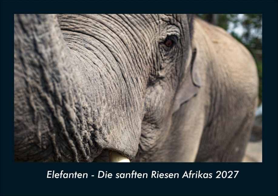 Elefanten - Die sanften Riesen Afrikas 2027 Fotokalender DIN A4 - Tobias Schmitt, Kevin Heber
