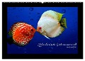 Kalendarische Unterwasserwelt (Wandkalender 2025 DIN A2 quer), CALVENDO Monatskalender - Heike Hultsch