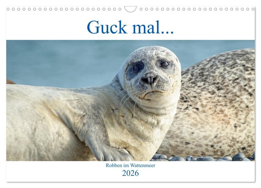 Guck mal ... Robben im Wattenmeer (Wandkalender 2026 DIN A3 quer), CALVENDO Monatskalender - Martina Fornal
