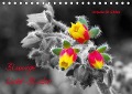 Blumige Licht-Blicke (Tischkalender immerwährend DIN A5 quer) - Ursula Di Chito
