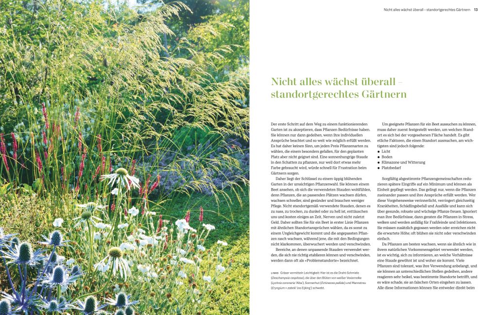 InsideView 2