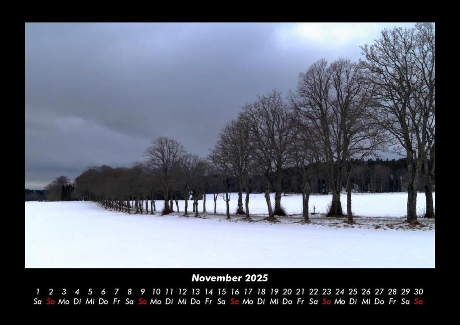 InsideView 3