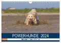 POWERHUNDE 2024 (Wandkalender 2024 DIN A4 quer), CALVENDO Monatskalender - Annett Mirsberger