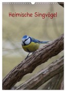 Heimische Singvögel (Wandkalender 2026 DIN A3 hoch), CALVENDO Monatskalender - Kattobello Kattobello