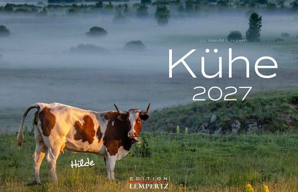 Kühe Kalender 2027 Wandkalender - J. -L. Hubert Klein