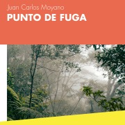Cover-Bild zum Titel 'Punto de fuga' von 'Juan Carlos Moyano'