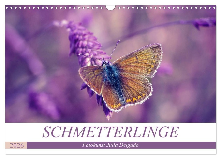 Schmetterlinge im Fokus (Wandkalender 2026 DIN A3 quer), CALVENDO Monatskalender - Julia Delgado