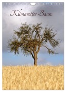 Cover-Bild zum Titel 'Klimaretter Baum (Wandkalender 2026 DIN A4 hoch), CALVENDO Monatskalender' von 'Christine Wirges'