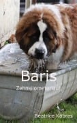 Cover-Bild zum Titel 'Baris Zehnkilometerlauf' von 'Beatrice Kobras'