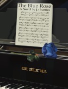 Cover-Bild zum Titel 'The Blue Rose' von 'J. R. Barnes'