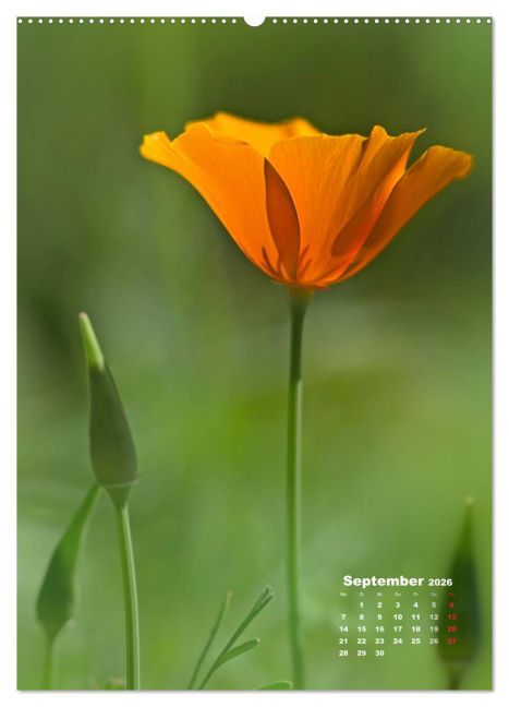 InsideView 14