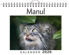 Cover-Bild zum Titel 'Manul' von 'David Möller'