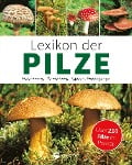 Cover-Bild zum Titel 'Lexikon der Pilze: Bestimmung, Verwendung, typische Doppelgänger' von 'Hans W. Kothe'