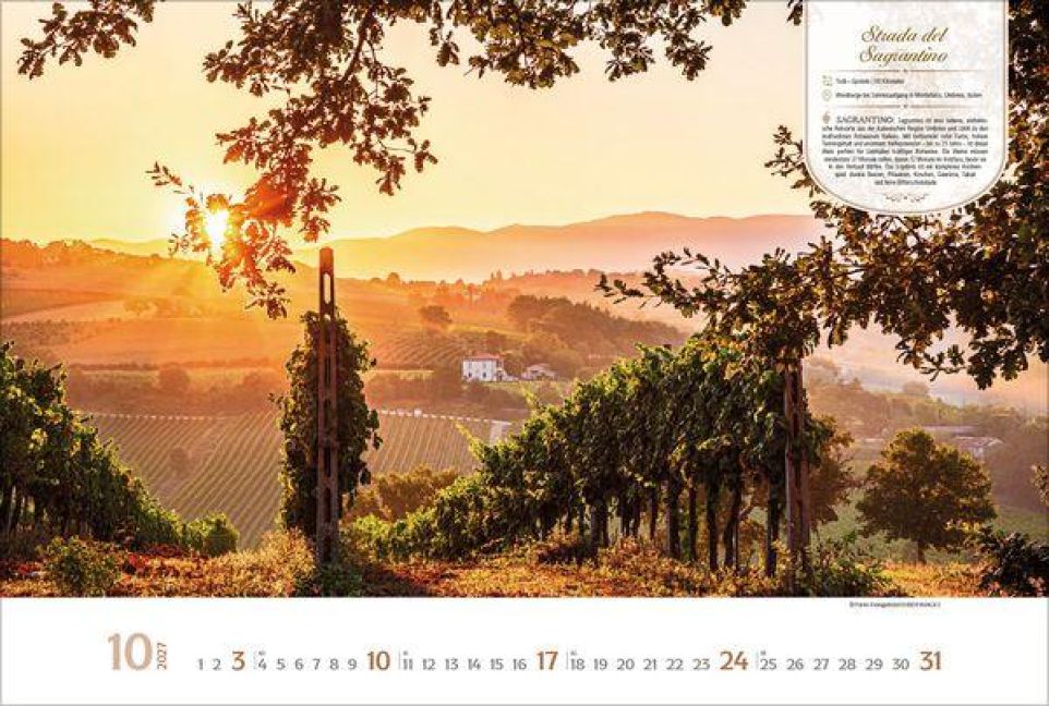 InsideView 10