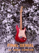 Cover-Bild zum Titel 'Final Genial' von 'Tobias Schneider'