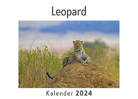 Leopard (Wandkalender 2024, Kalender DIN A4 quer, Monatskalender im Querformat mit Kalendarium, Das perfekte Geschenk) - Anna Müller