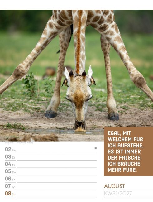 InsideView 35