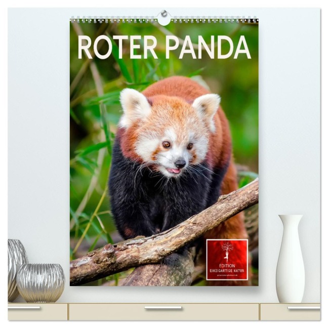 Roter Panda (hochwertiger Premium Wandkalender 2026 DIN A2 hoch), Kunstdruck in Hochglanz - Peter Roder