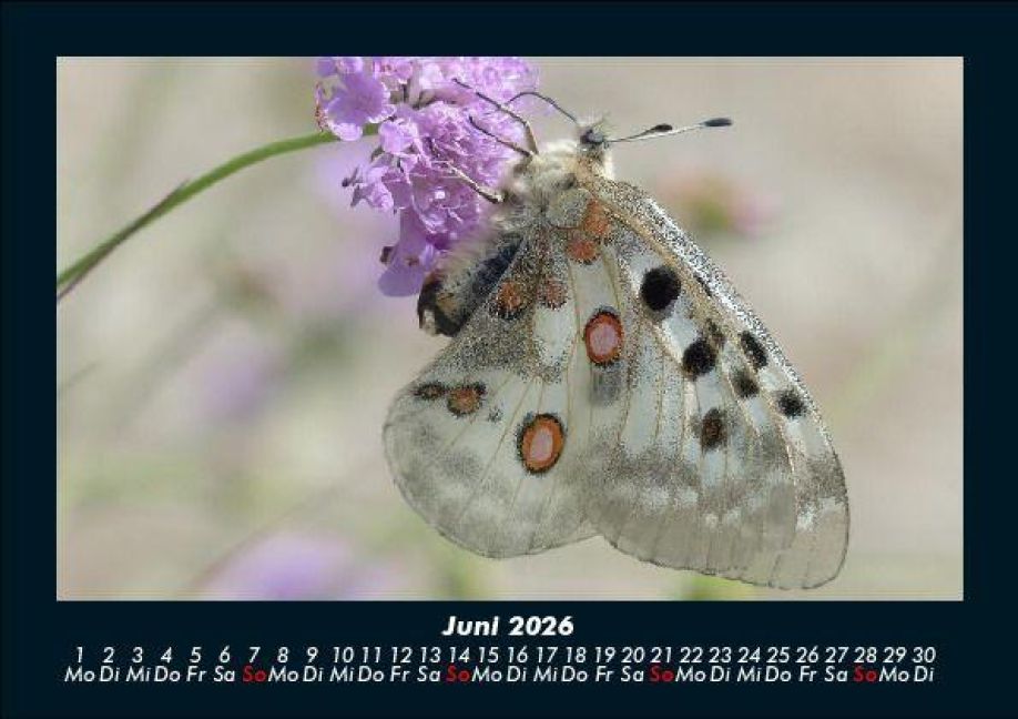 InsideView 10
