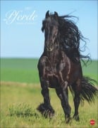 Cover-Bild zum Titel 'Pferde Classics Posterkalender 2027' von ''